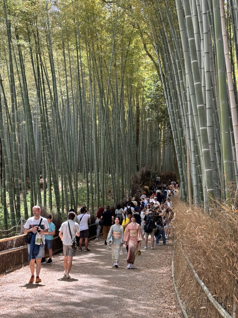 Bambusový les Arashiyama