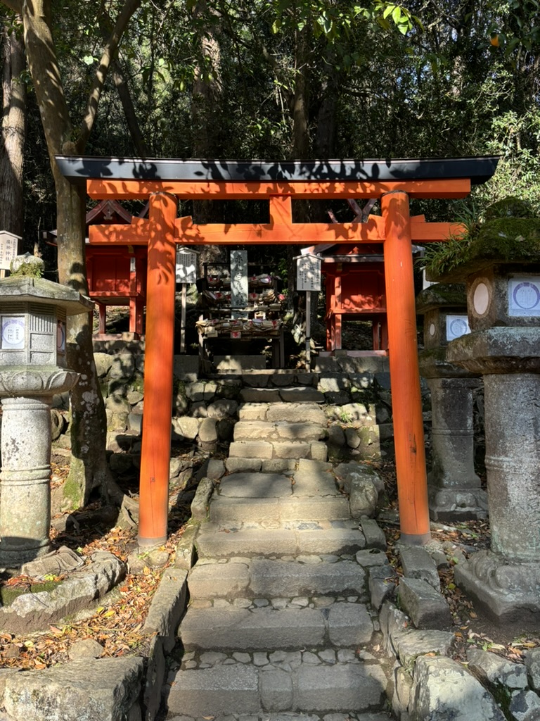 Les okolo Kasuga Taisha