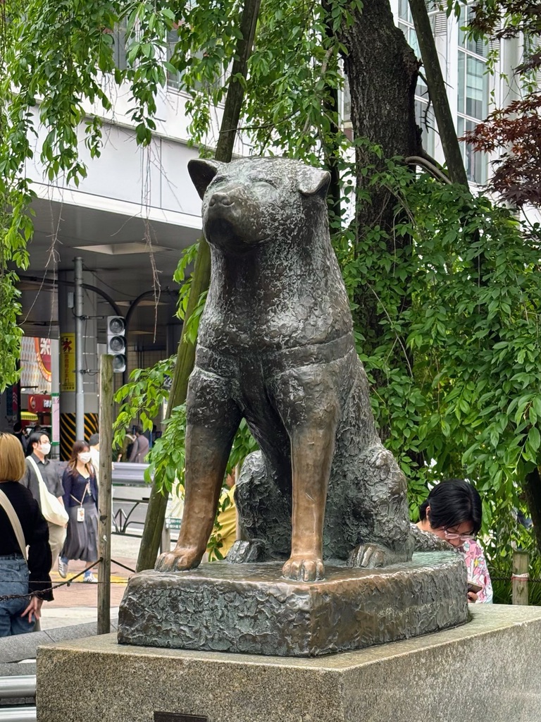 Hachiko