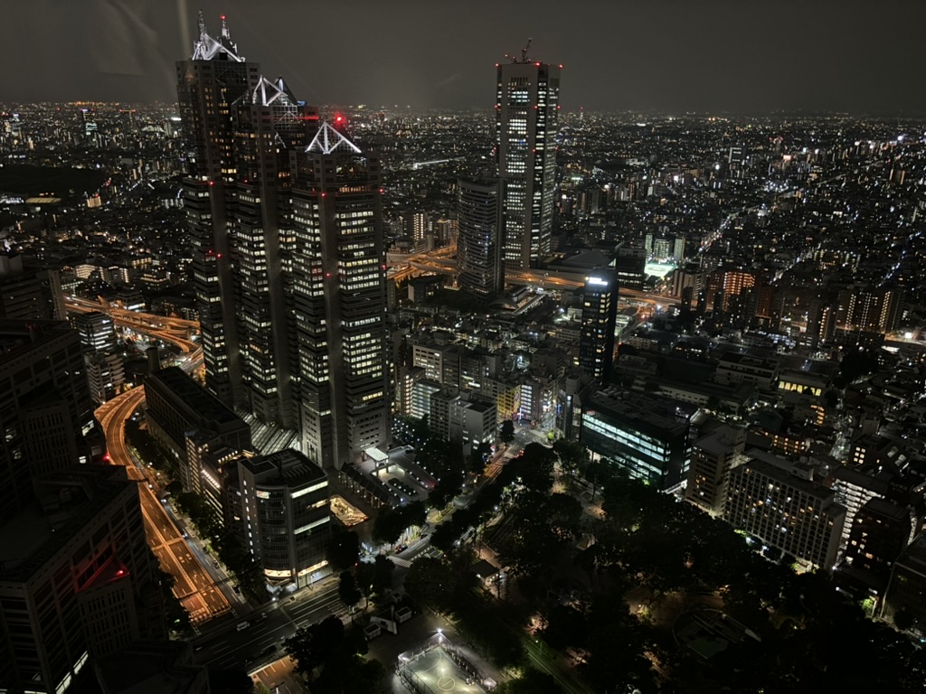 Výhľad z Tokyo Government Metropolitan Building