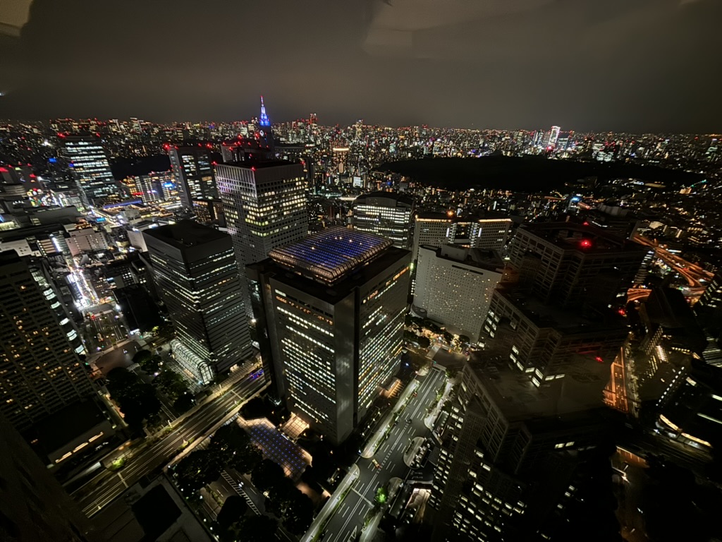 Výhľad z Tokyo Government Metropolitan Building